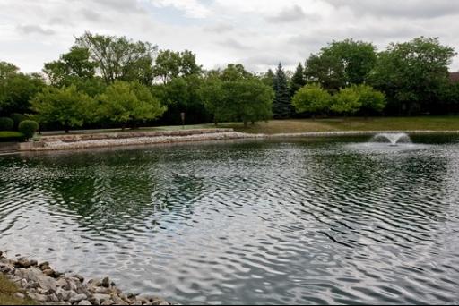 Homes for Sale 701 Lake Hinsdale Drive #507 Willowbrook, IL